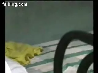 विंटेज देहाती सेक्सी मूवी एचडी श्यामला लाल लंबी नाखून