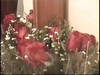 आबनूस परिपक्व चूसना और गधा सेक्सी मूवी वीडियो एचडी गड़बड़