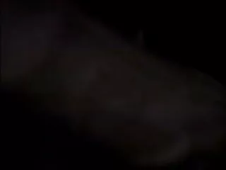 स्किनी लिटिल टिनी टाईल्ड हिंदी सेक्सी मूवी एचडी फुल काइला बुक्केक हो जाता है