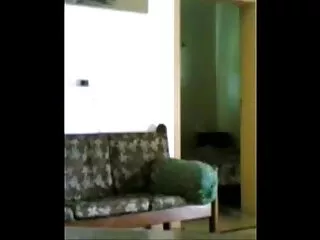 हैमिल्टन सेक्सी वीडियो एचडी फुल मूवी होटी